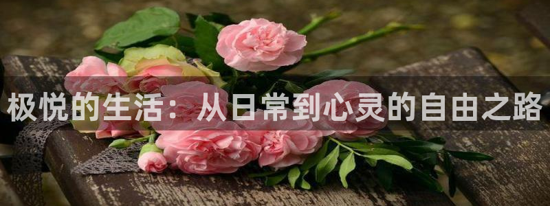 狗子28模拟器