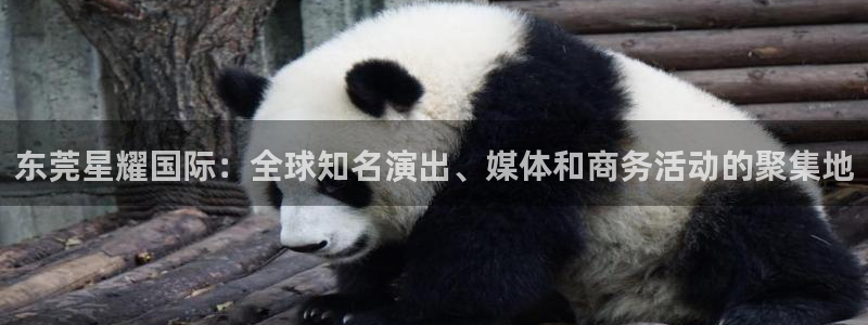 狗子28平台链接