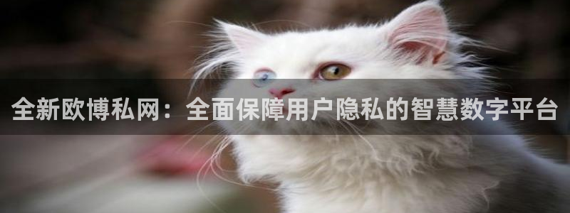 狗子28游戏网页版入口
