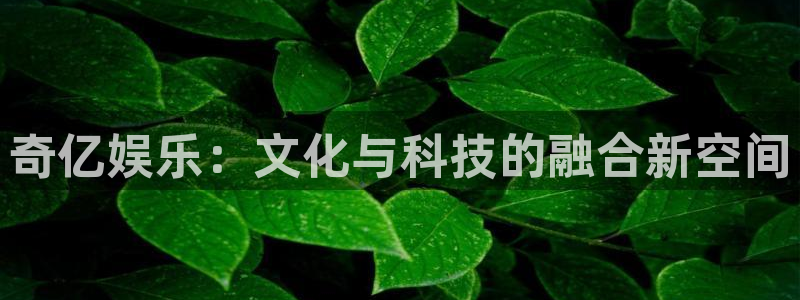 狗子28圈平台官网版下载