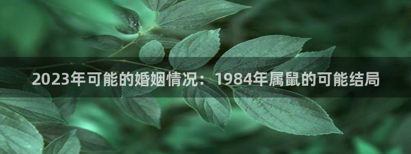 狗子28pg最新版本下载