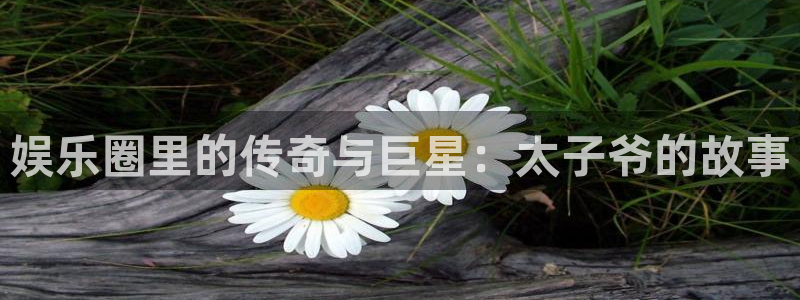 狗子28pg最新版安装包下载