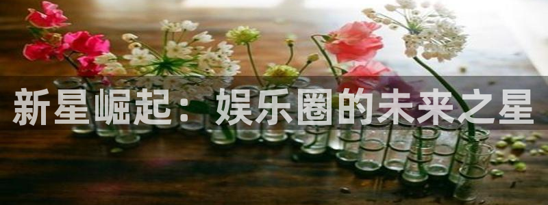 狗子28官网