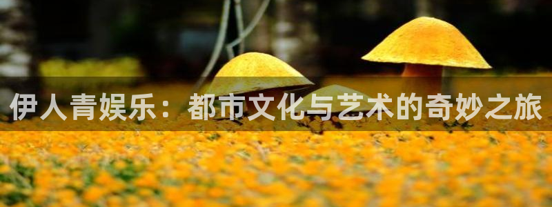 狗子28游戏下载地址
