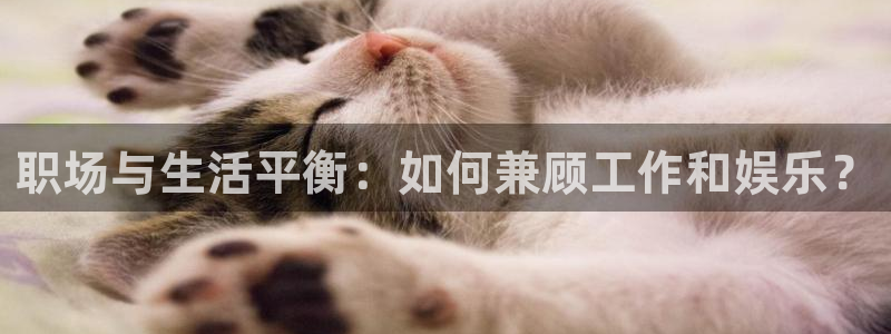 狗子28国际版下载入口
