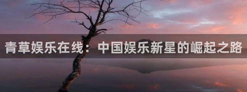 狗子28电子游戏官网入口：青草娱乐在线：中国娱乐新星的崛起之路
