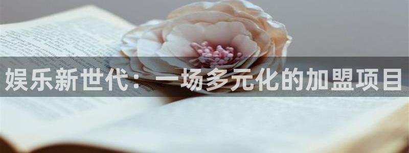 狗子28扶持金：娱乐新世代：一场多元化的加盟项目