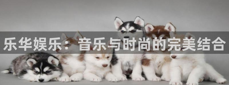 狗子28圈平台官网版下载：乐华娱乐：音乐与时尚的完美结合