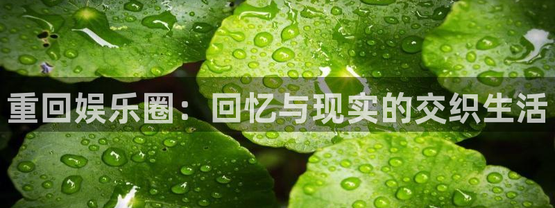 狗子28游戏：重回娱乐圈：回忆与现实的交织生活