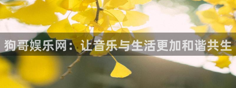 狗子28棋牌软件特色：狗哥娱乐网：让音乐与生活更加和谐共生