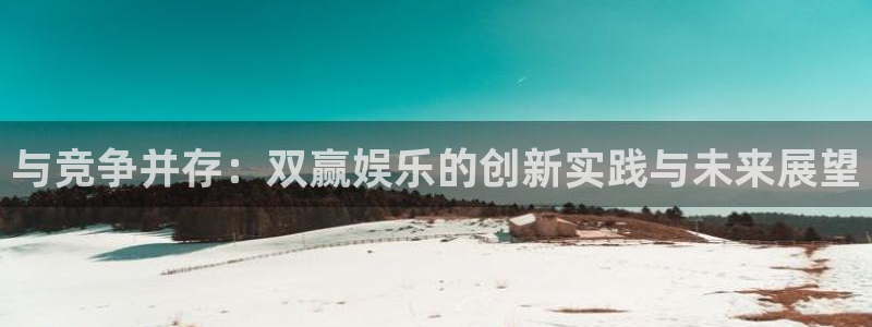 狗子28国际版下载入口：与竞争并存：双赢娱乐的创新实践与未来展望