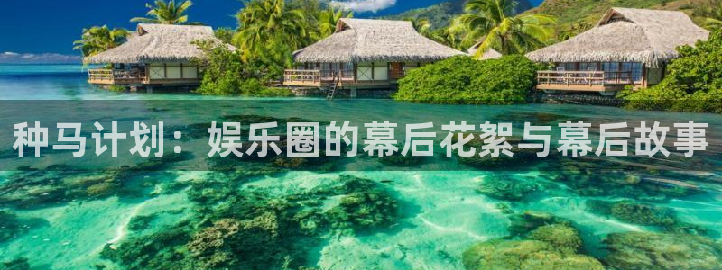 狗子28免费注册入口：种马计划：娱乐圈的幕后花絮与幕后故事