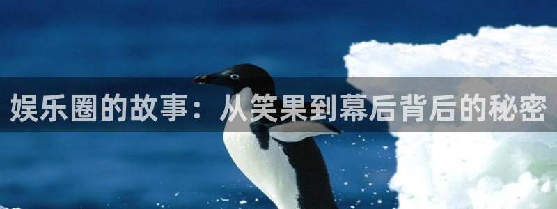 狗子28pg正版官网入口：娱乐圈的故事：从笑果到幕后背后的秘密