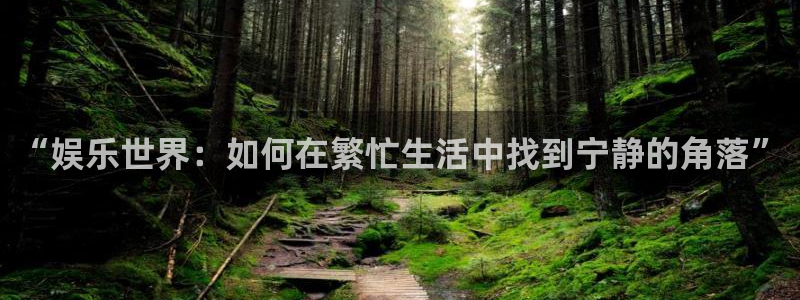 狗子28圈平台官网版下载：“娱乐世界：如何在繁忙生活中找到宁静的角落”