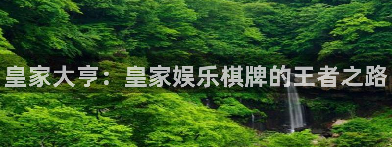 狗子28棋牌软件特色：皇家大亨：皇家娱乐棋牌的王者之路