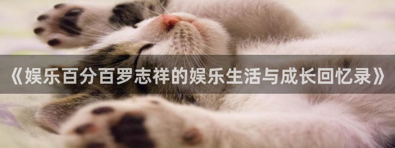 狗子28游戏：《娱乐百分百罗志祥的娱乐生活与成长回忆录》
