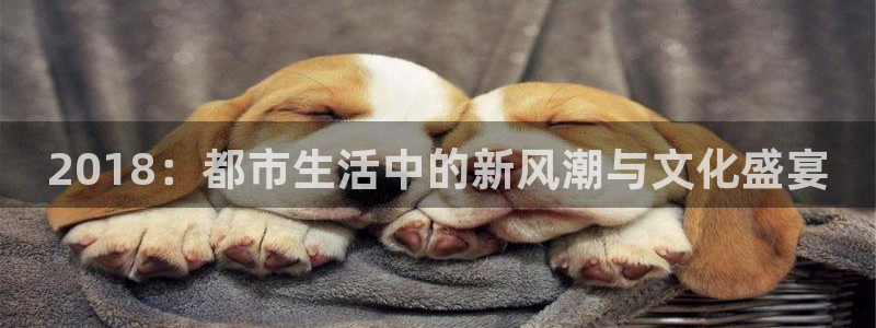 狗子28注册平台入口：2018：都市生活中的新风潮与文化盛宴